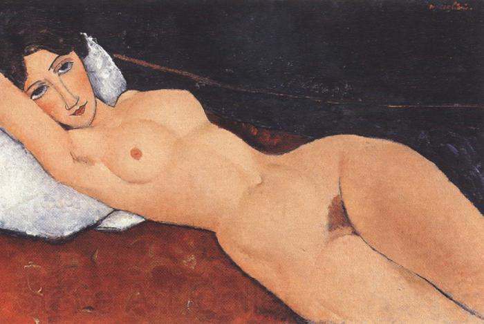 Amedeo Modigliani Reclining Nude on a Red Couch (mk39) Germany oil painting art
